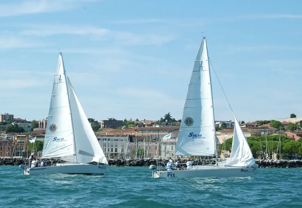 Programma Svelare Senza Barriere 2026